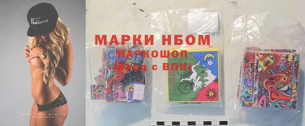 индика Аркадак