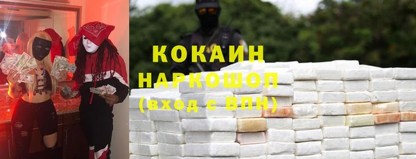 индика Аркадак