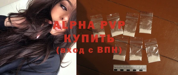 индика Аркадак