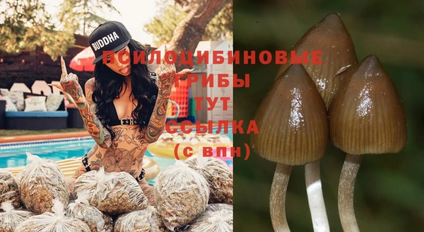 крисы Арсеньев