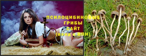 ешки Армянск