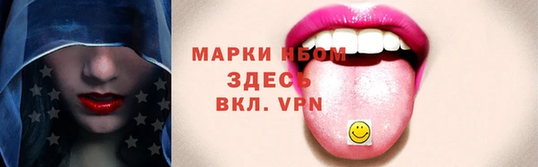 индика Аркадак