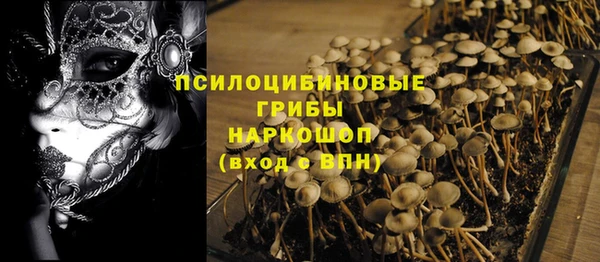 крисы Арсеньев