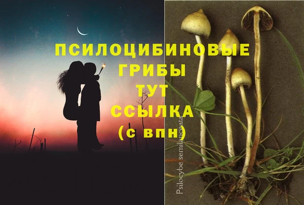 ешки Армянск