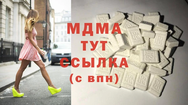 индика Аркадак