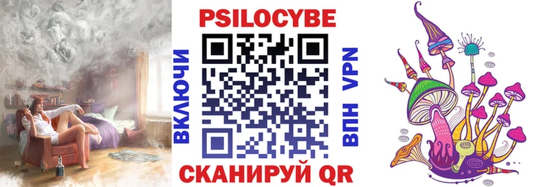 omg вход  Шацк  Псилоцибиновые грибы Psilocybine cubensis  закладки 
